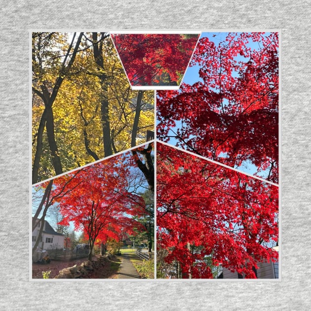 Foliage Collage by Barschall